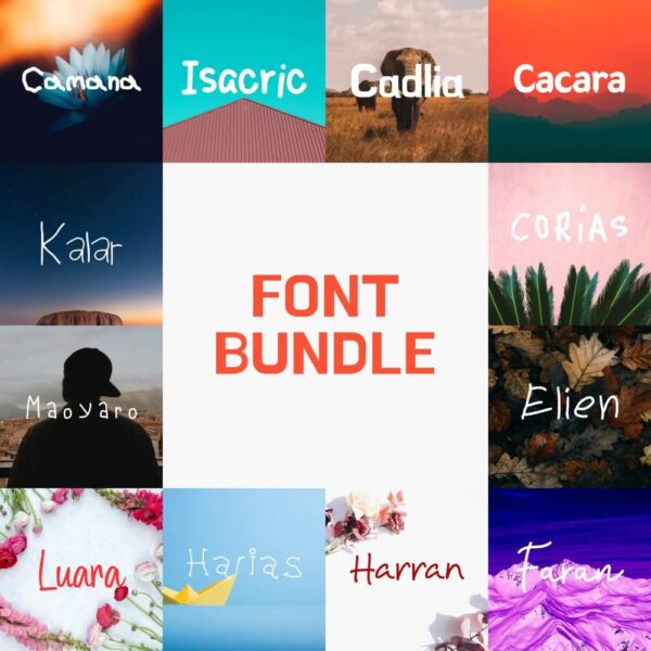Decor Font Bundle – 12 Handcrafted Typefaces